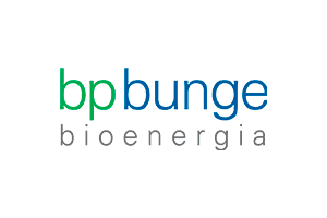 bp bunge site